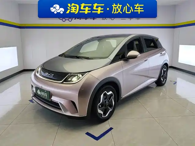 2022 BYD Dolphin