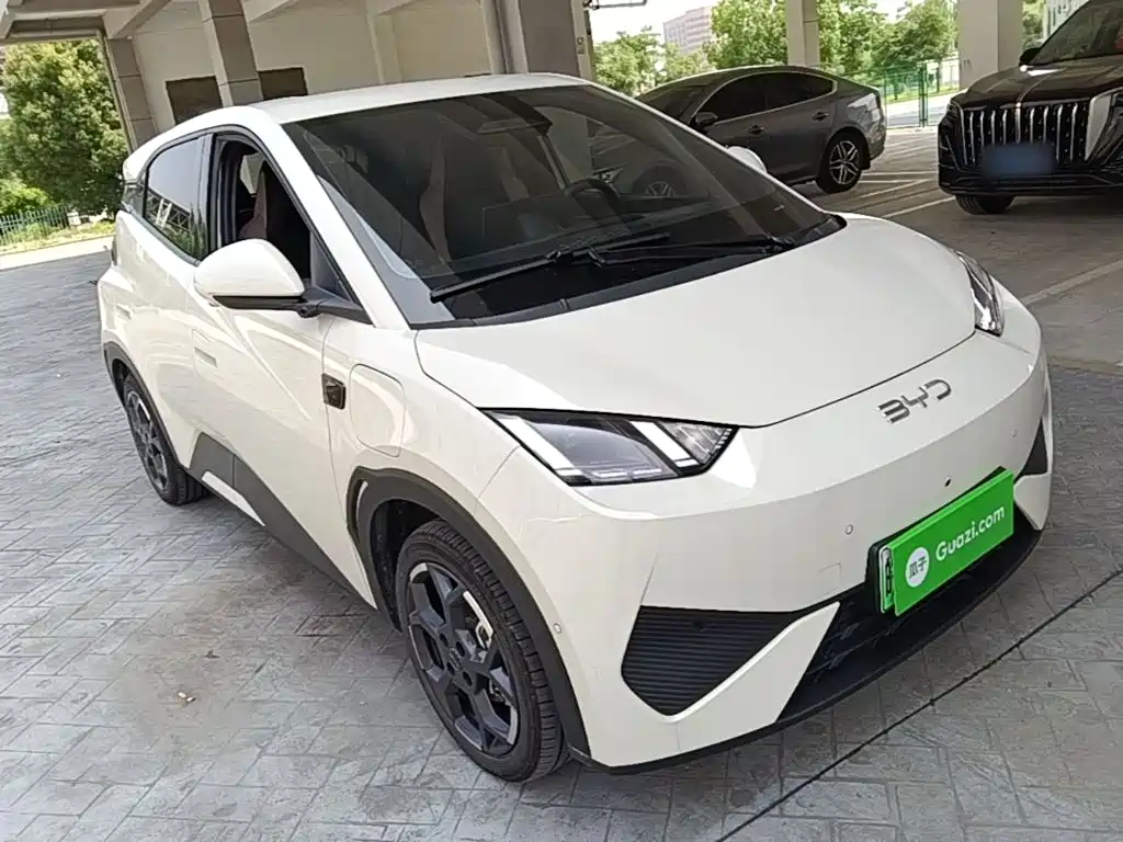 BYD Seagull 2025 Smart Drive 305km Freedom