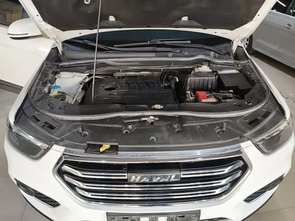 Haval H6 — миниатюра 19