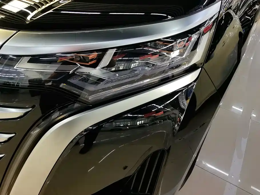 Denza Denza D9 — миниатюра 5