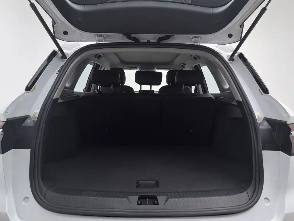 BYD Pro — миниатюра 16