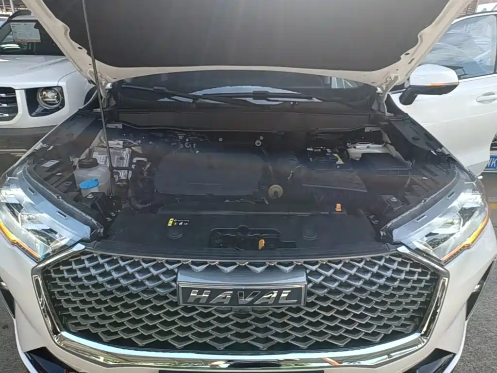 Haval H6 — миниатюра 20