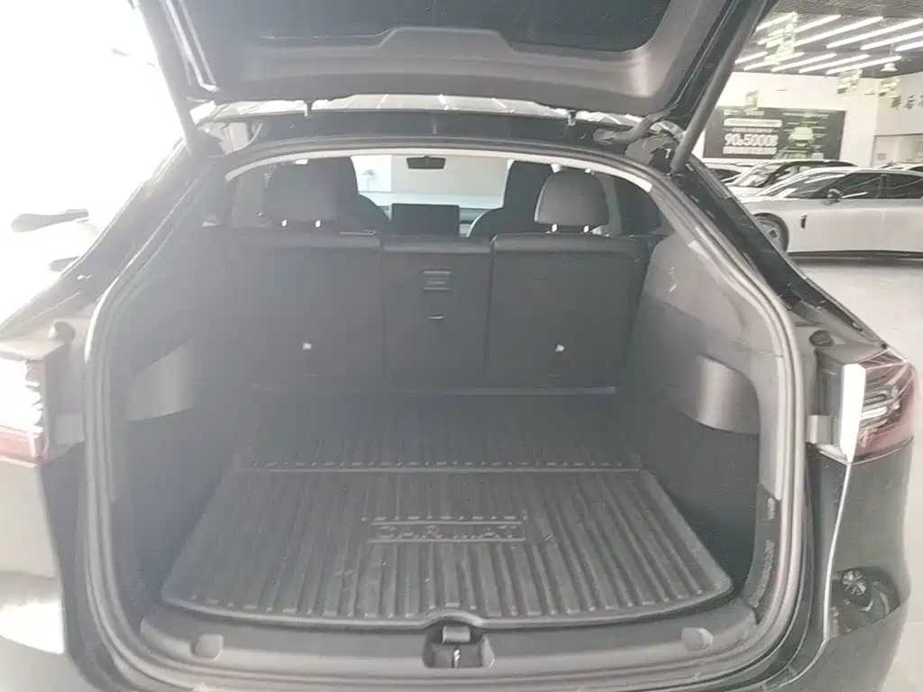 Tesla Model Y — миниатюра 19