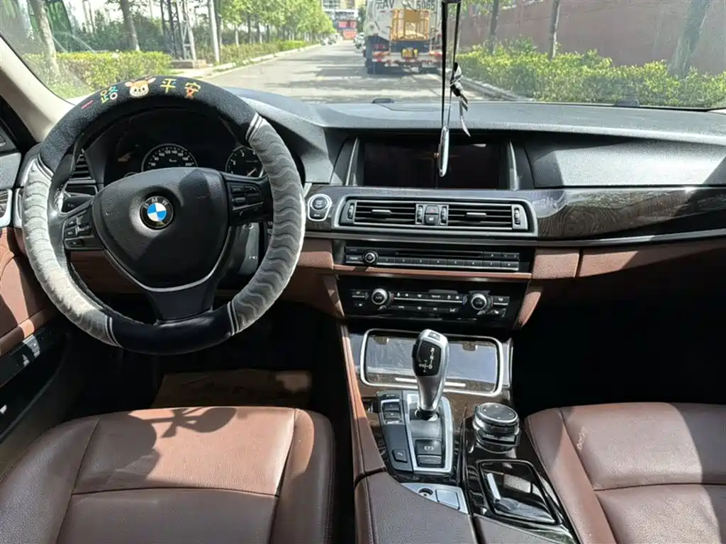 BMW 5 Series 5 2017 528Li Lead