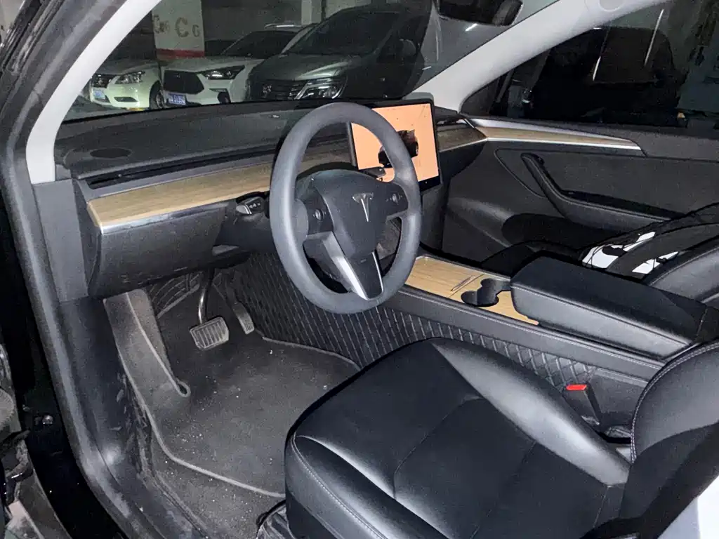Tesla Model Y — миниатюра 4