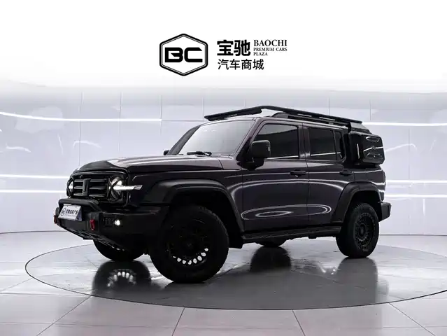 2024 TANK 300