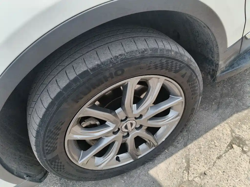 Haval H7 2.0T Delight Type China VI, фото 17