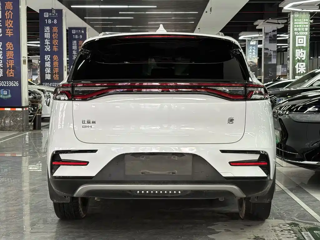 BYD Tang New Energy — миниатюра 14