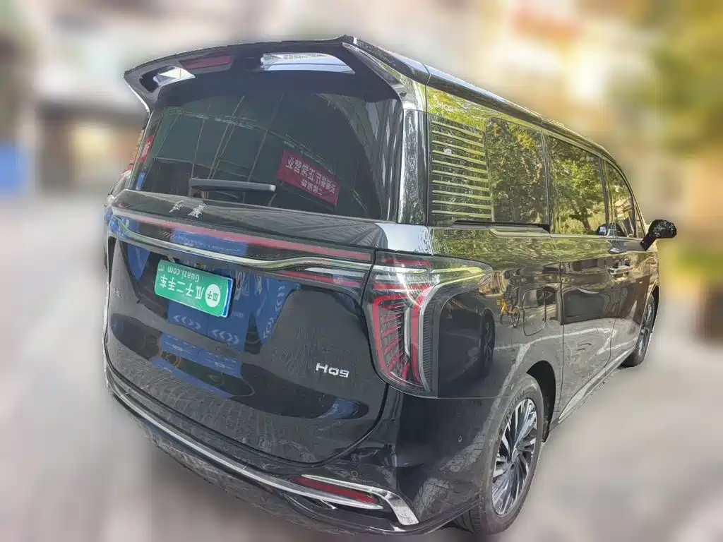 Hongqi Hongqi HQ9 — миниатюра 4