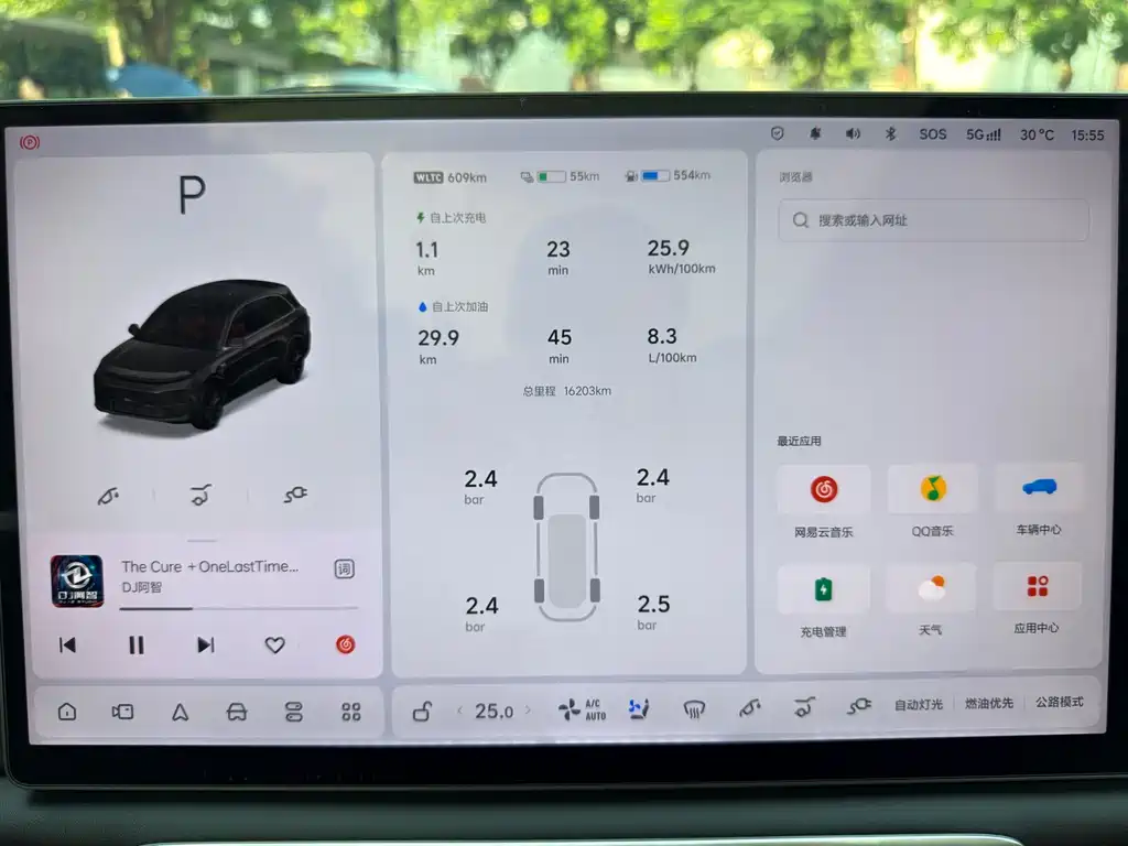 Li Auto Li L6 — миниатюра 20
