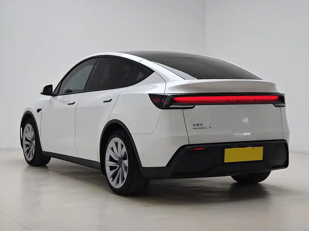 Tesla Model Y — миниатюра 11