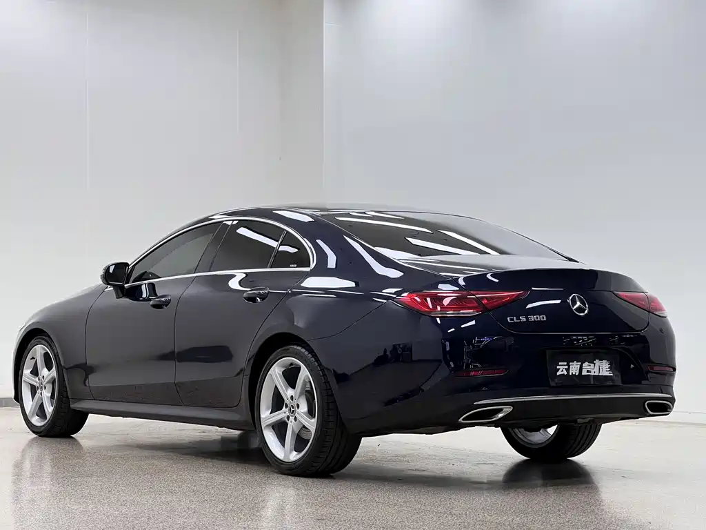 Mercedes-Benz CLS 2018 CLS 300