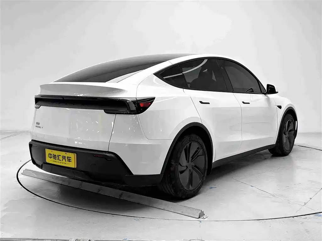 Tesla Model Y — миниатюра 20