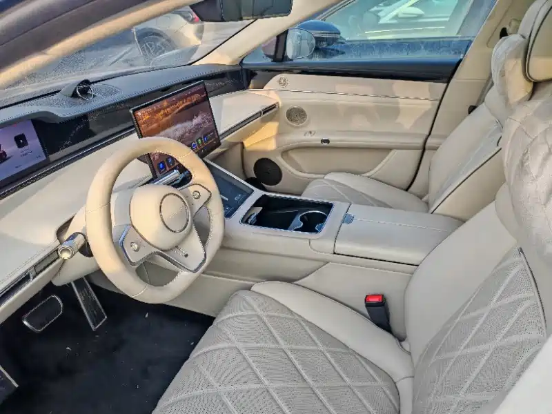 AITO ENJOY THE WORLD S9