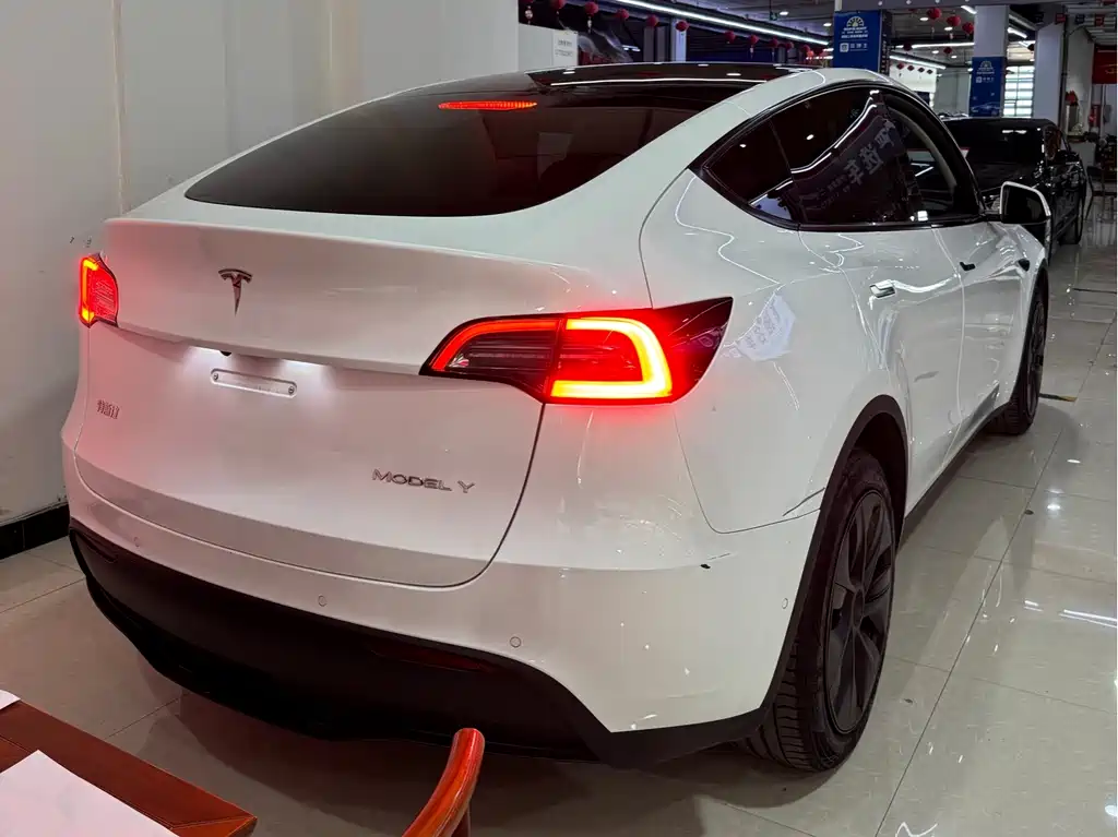 Tesla Model Y — миниатюра 8