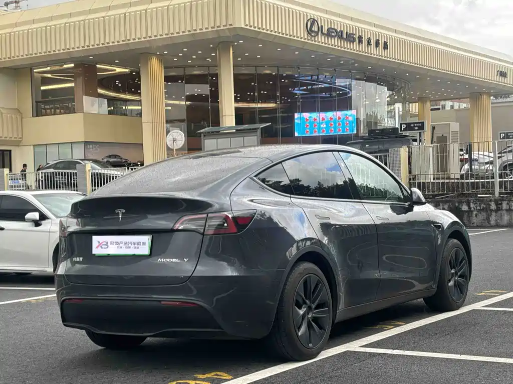 Tesla Model Y — миниатюра 5