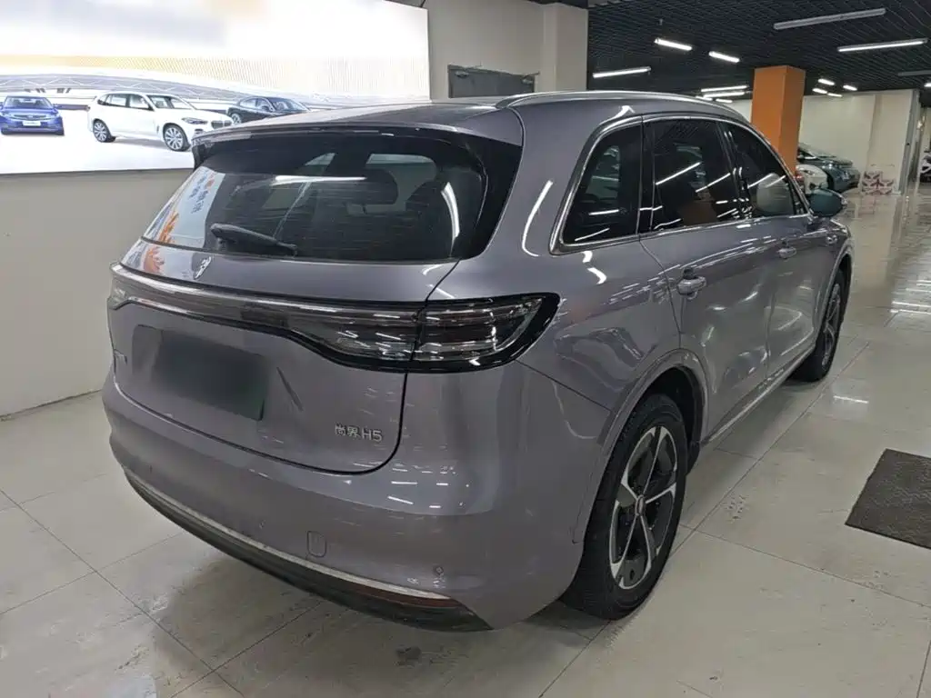 Сангтан Sangtang H5 — миниатюра 7