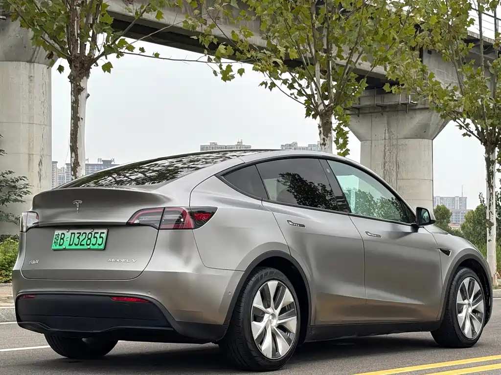 Tesla Model Y — миниатюра 5