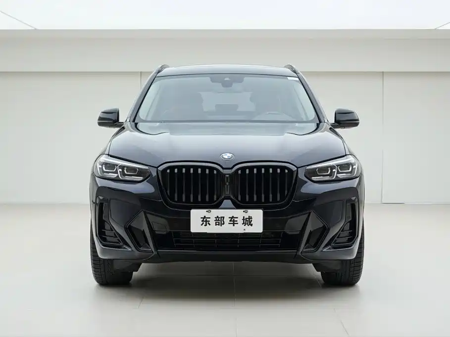 BMW X3 — миниатюра 2