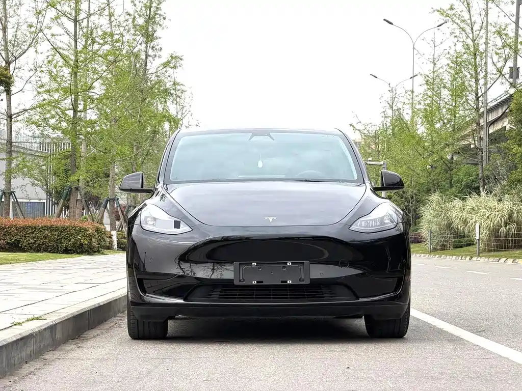 Tesla Model Y — миниатюра 2