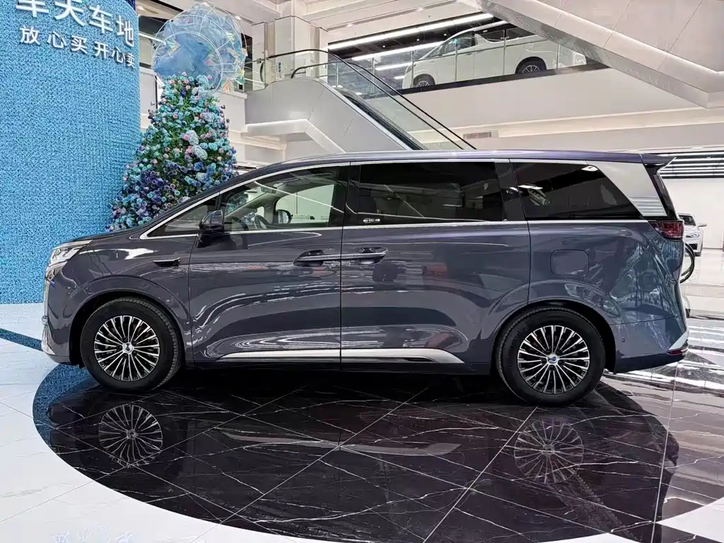 Denza Denza D9 — миниатюра 25