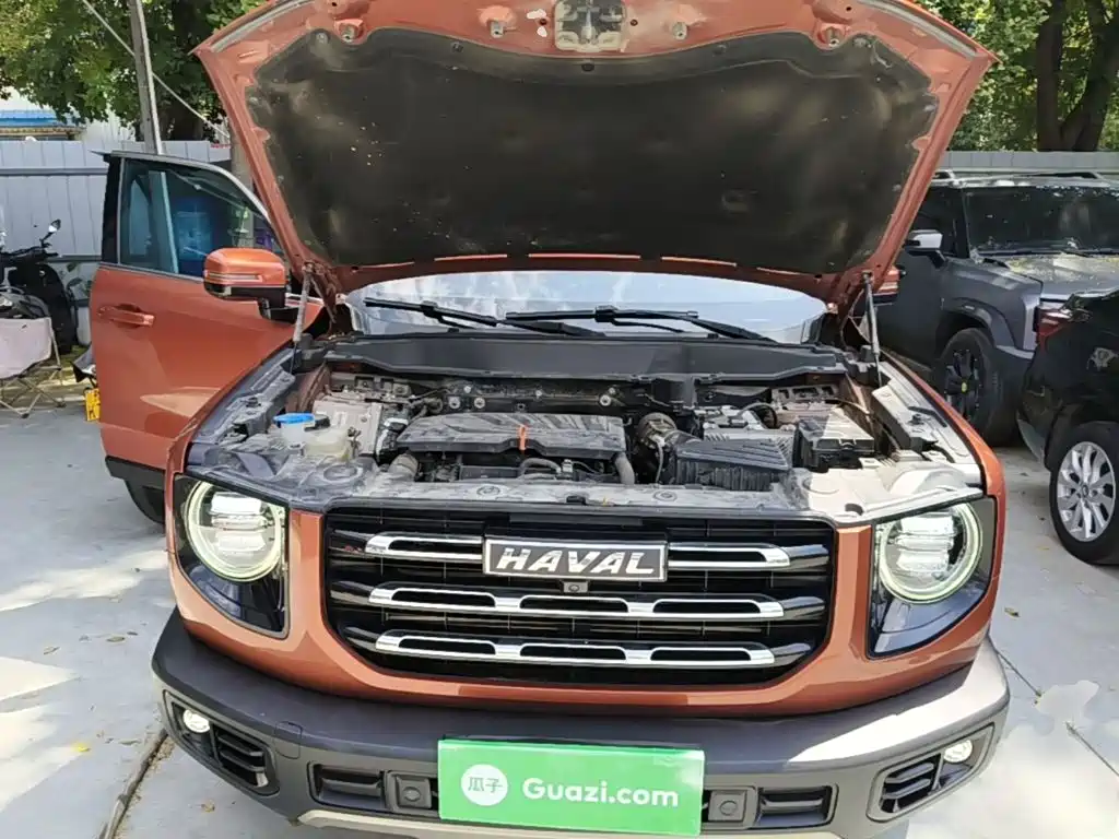 Haval Big Dog — миниатюра 20