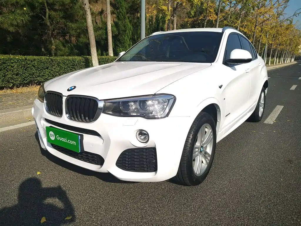 BMW X4 2016 xDrive20i M Sport