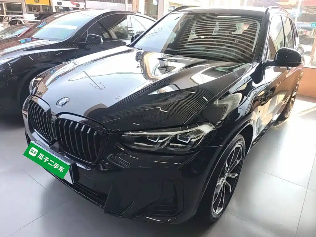 BMW X3 — миниатюра 2