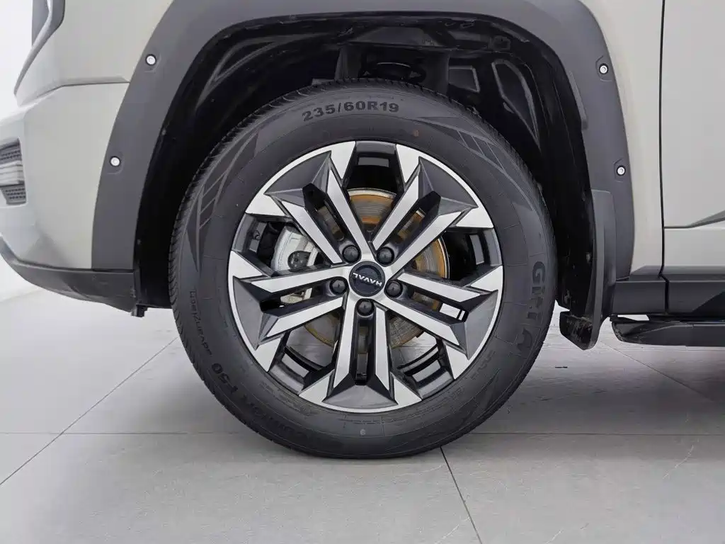 Haval Big Dog PLUS — миниатюра 17