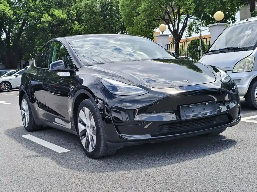Tesla Model Y — миниатюра 4