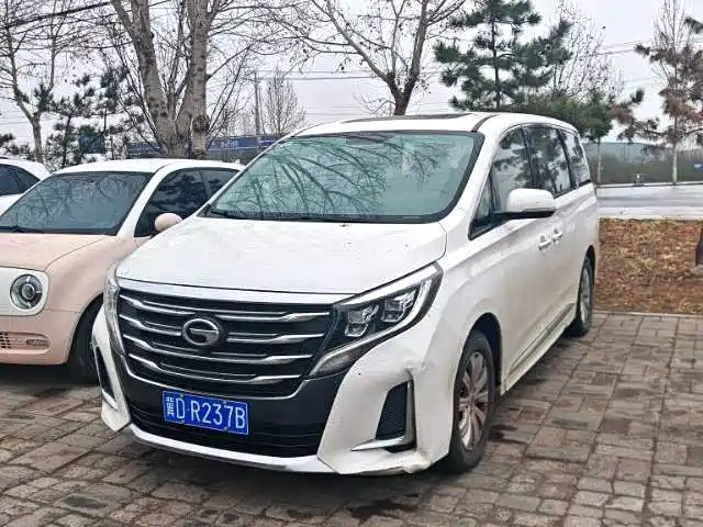 2020 GAC GN8