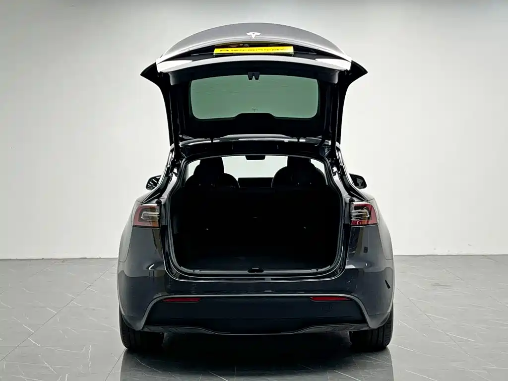 Tesla Model Y — миниатюра 11