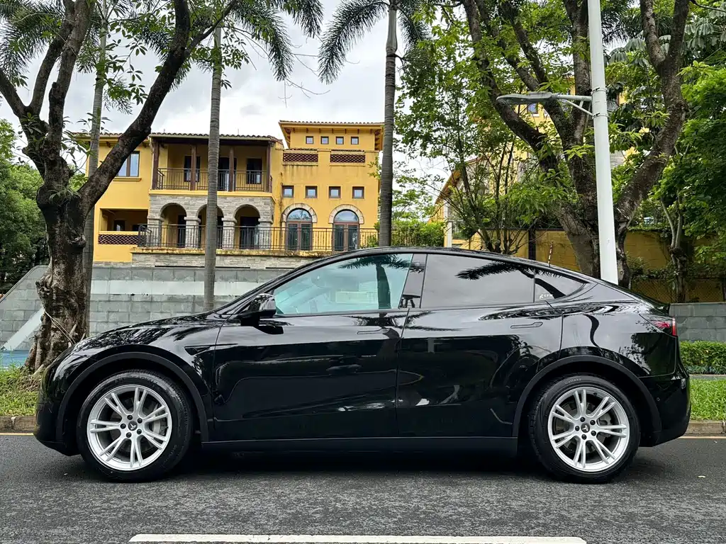Tesla Model Y — миниатюра 2
