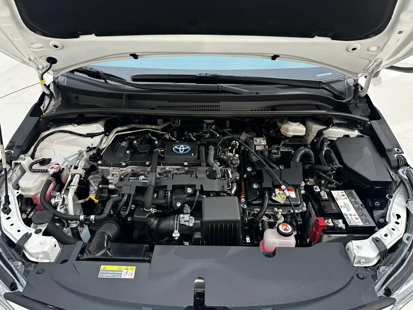 Toyota Lei Ling id 4514238 из Китая 12