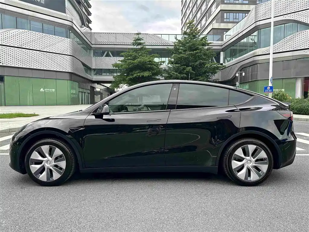 Tesla Model Y — миниатюра 10
