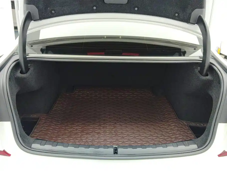 BMW 3 Series 3 2021 325Li M Sport