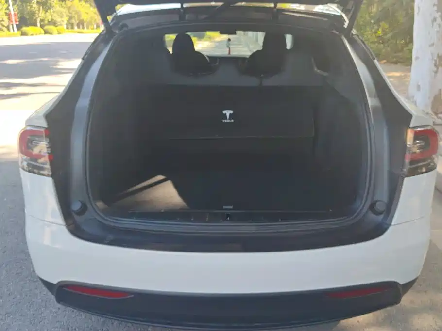 Tesla Model X — миниатюра 4