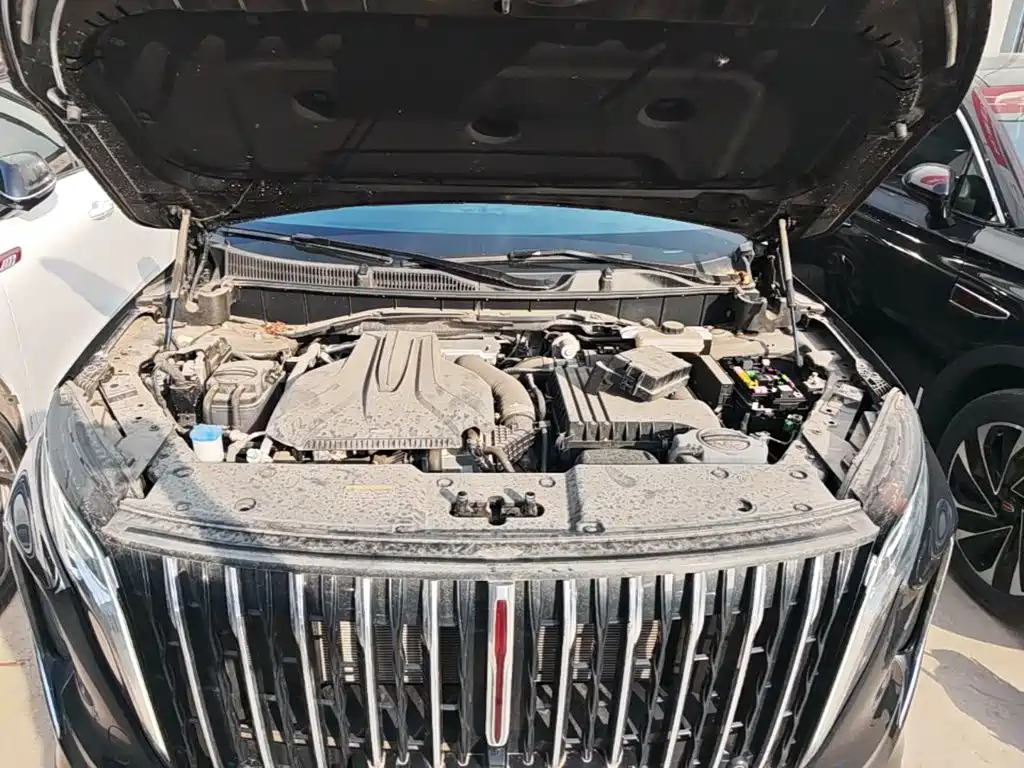 Hongqi Hongqi HS7 PHEV — миниатюра 20
