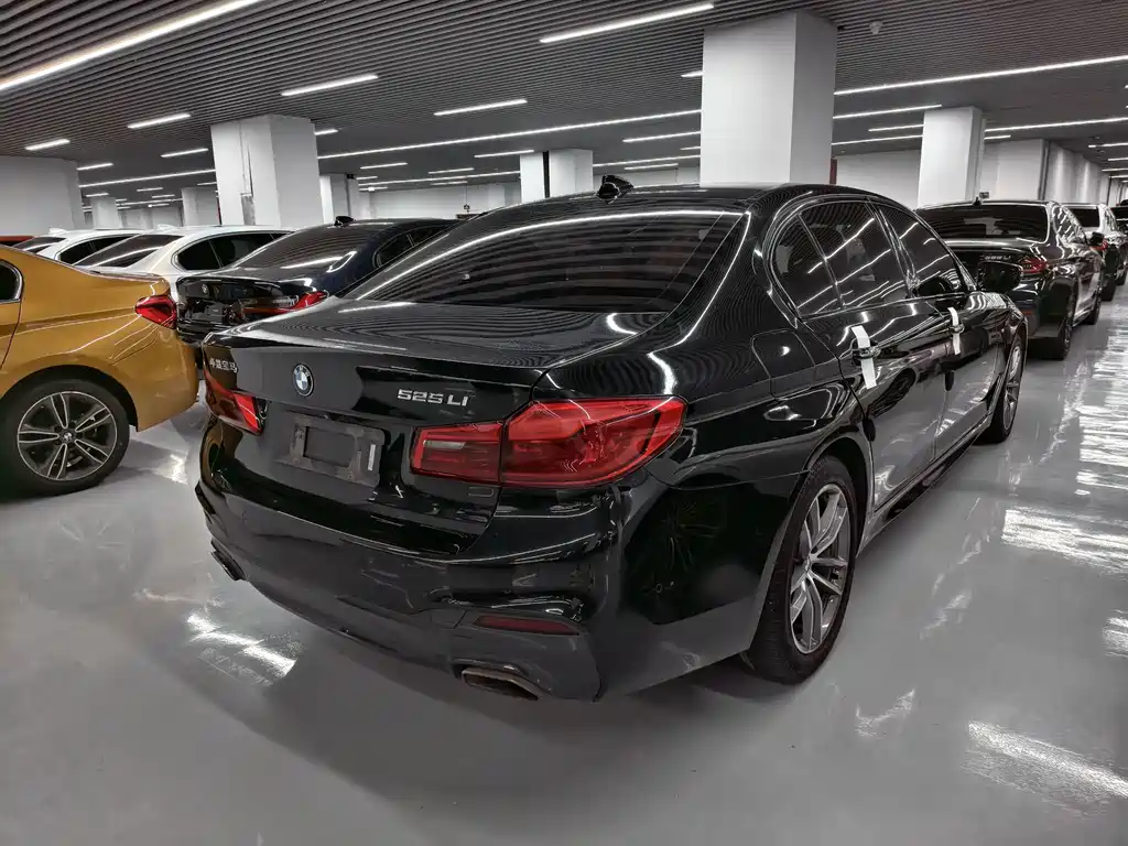 BMW 5 Series — миниатюра 10