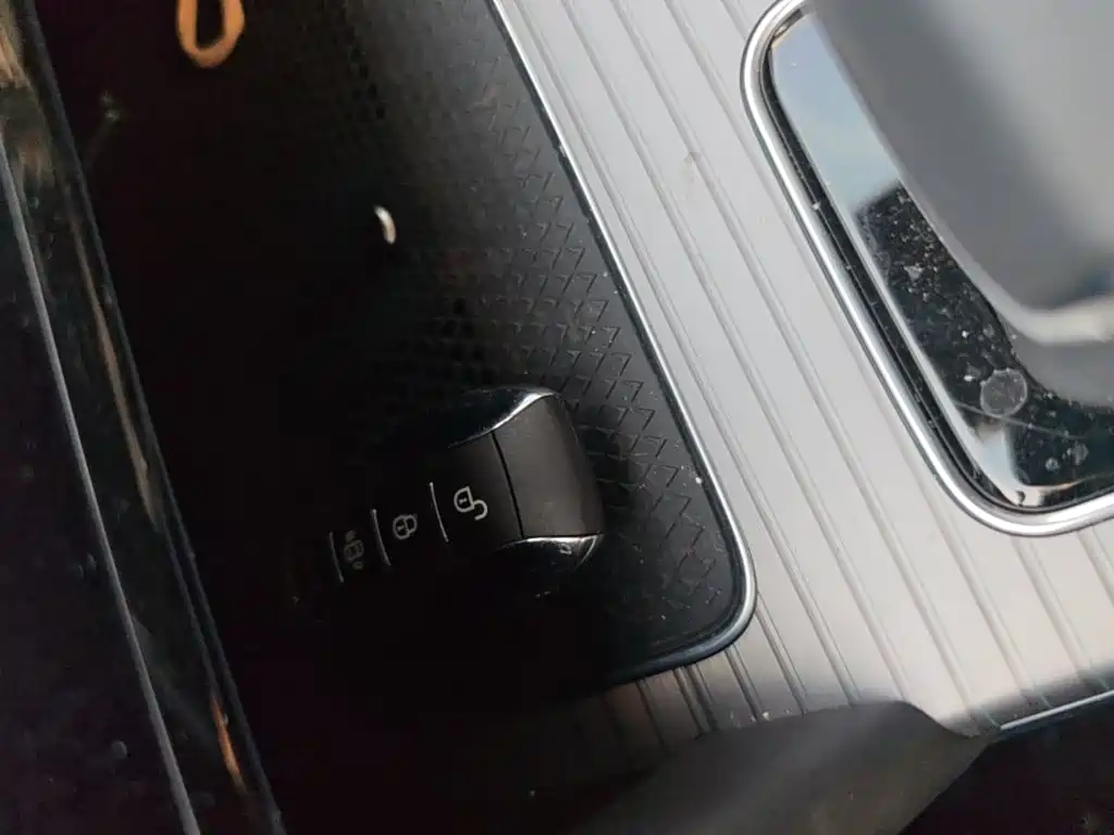 Hongqi Hongqi HS7 PHEV — миниатюра 9
