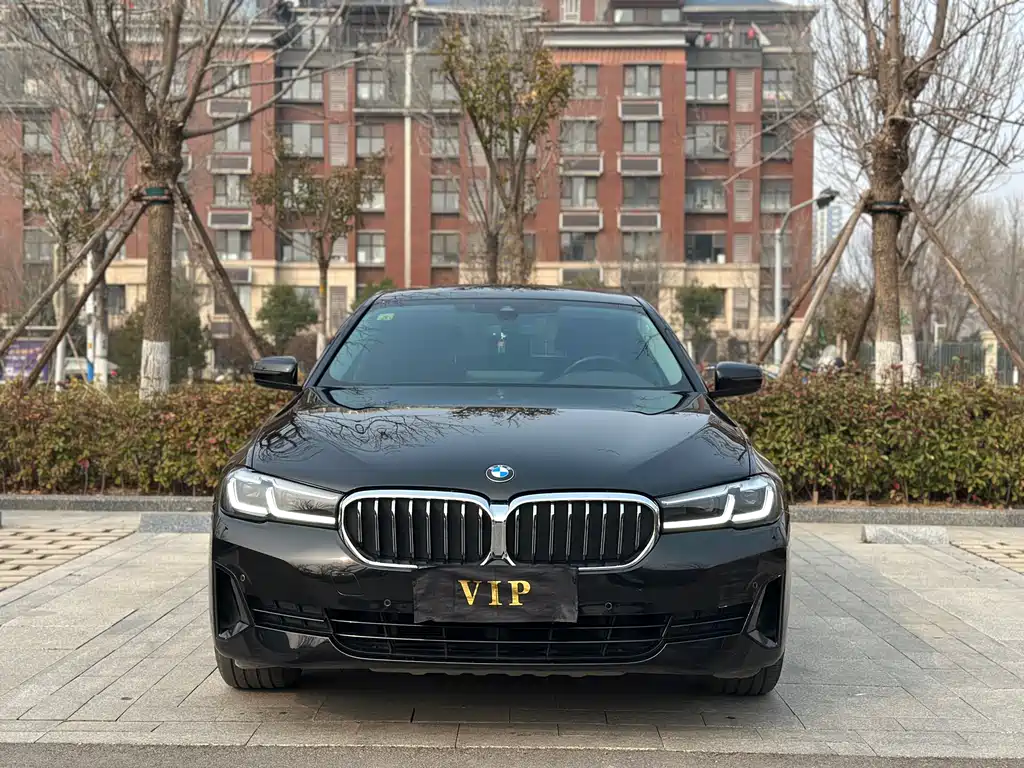 BMW 5 Series 5 2021 530Li Lead Luxury