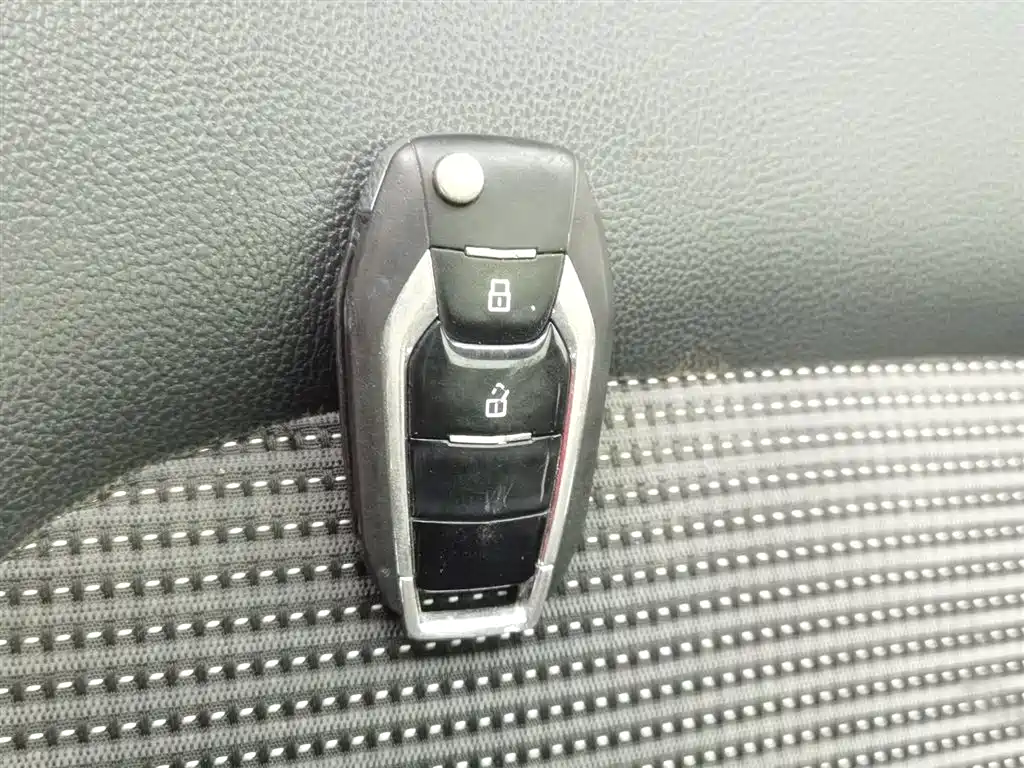 SAIC MAXUS CHASE G10