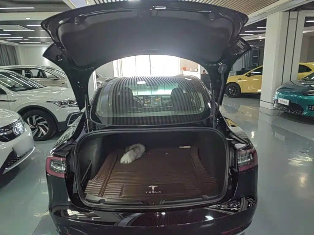 Tesla Model 3 — миниатюра 19