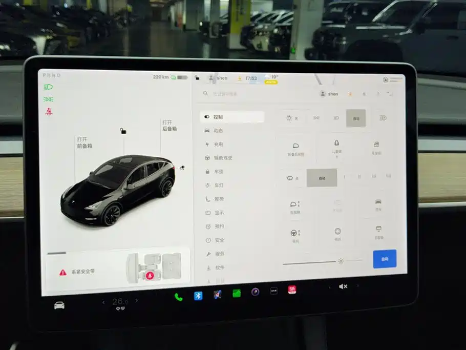 Tesla Model Y — миниатюра 14