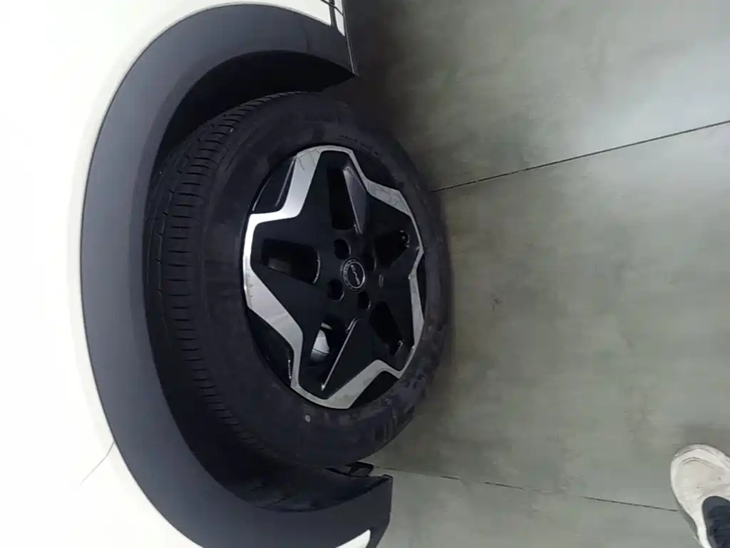 BYD Dolphin — миниатюра 23