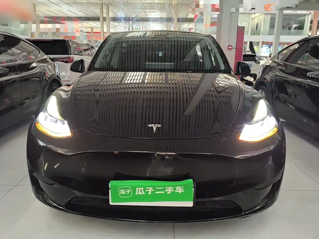 Tesla Model Y — миниатюра 3