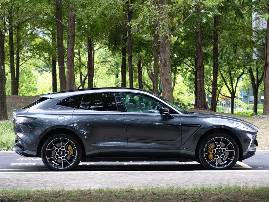 Aston Martin DBX — миниатюра 4