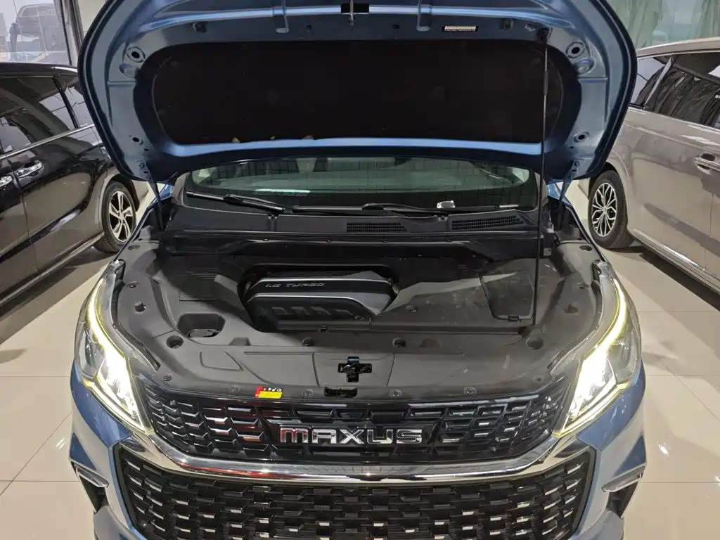 MAXUS G50 — миниатюра 16