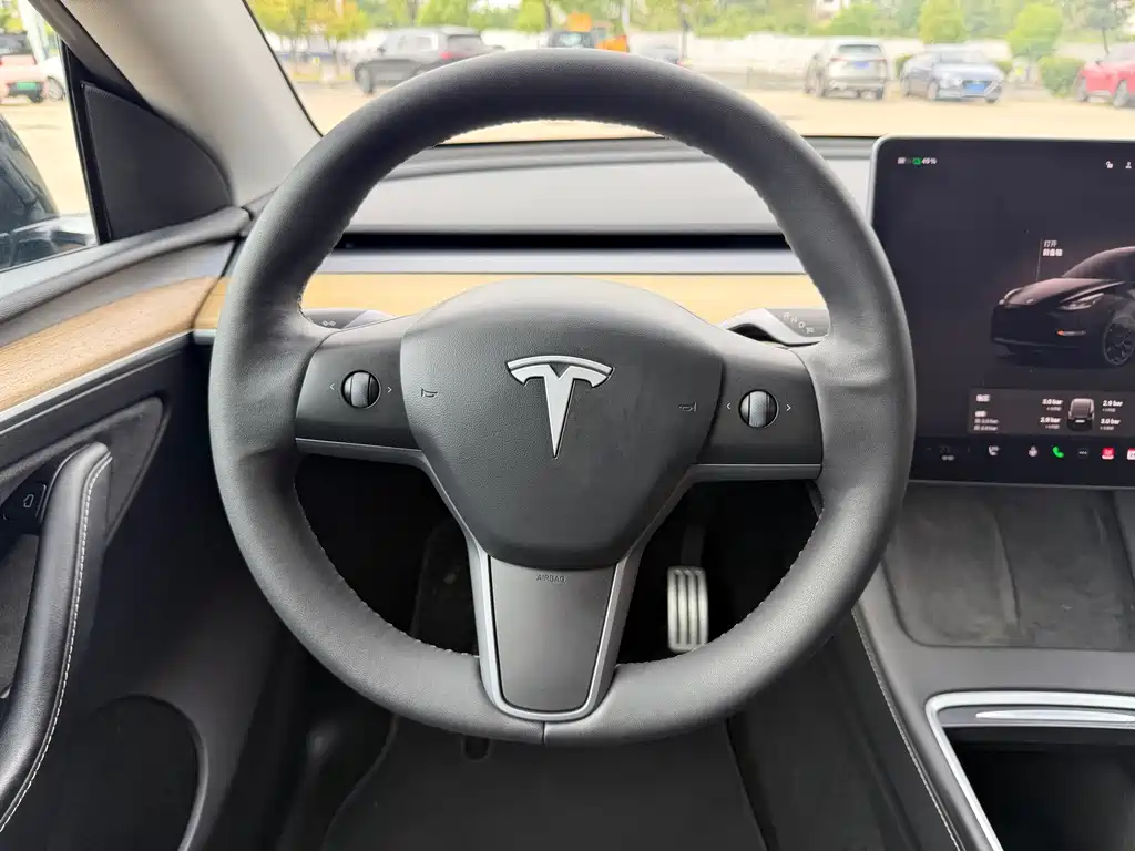 Tesla Model Y — миниатюра 10
