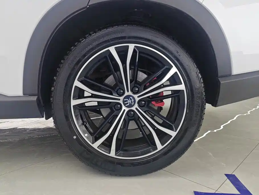 BYD PLUS — миниатюра 6